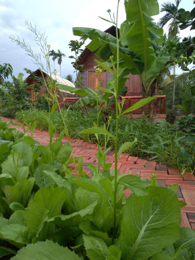 Hong Thai River Side Homestay Ben Tre 外观 照片