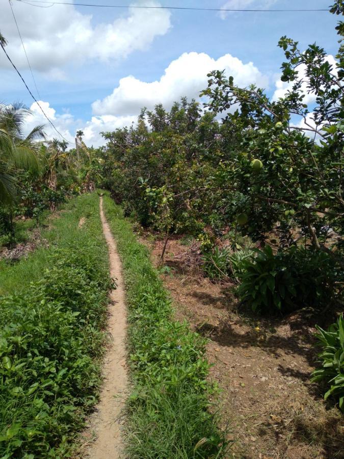 Hong Thai River Side Homestay Ben Tre 外观 照片